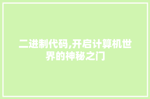 二进制代码,开启计算机世界的神秘之门