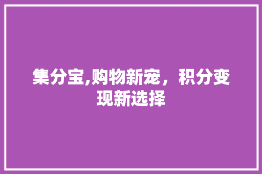 集分宝,购物新宠，积分变现新选择