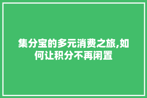 集分宝的多元消费之旅,如何让积分不再闲置