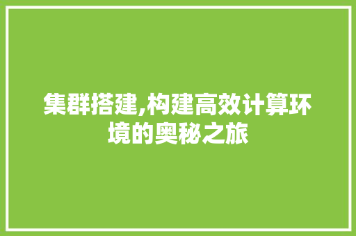 集群搭建,构建高效计算环境的奥秘之旅 SEO教程
