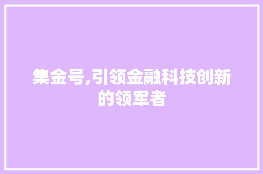 集金号,引领金融科技创新的领军者 建站教程