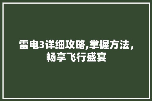 雷电3详细攻略,掌握方法，畅享飞行盛宴 建站教程