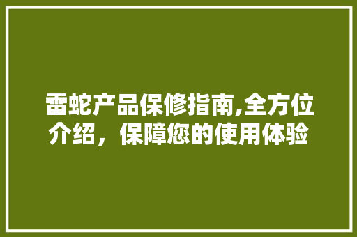 雷蛇产品保修指南,全方位介绍，保障您的使用体验 SEO教程