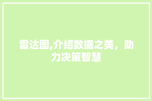 雷达图,介绍数据之美，助力决策智慧 服务器/数据库
