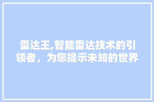 雷达王,智能雷达技术的引领者，为您提示未知的世界 Web前端