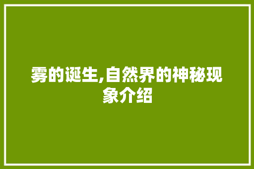 雾的诞生,自然界的神秘现象介绍 服务器/数据库