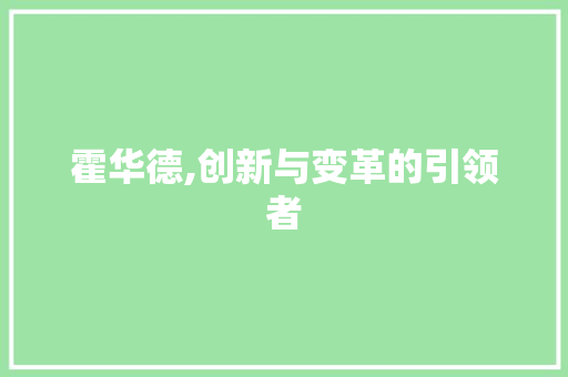 霍华德,创新与变革的引领者