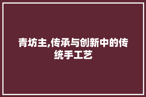 青坊主,传承与创新中的传统手工艺 服务器/数据库