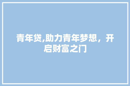 青年贷,助力青年梦想，开启财富之门 WordPress教程