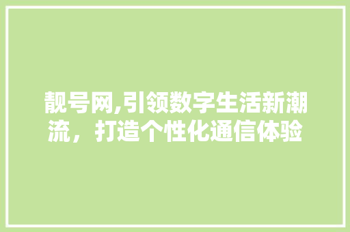 靓号网,引领数字生活新潮流，打造个性化通信体验