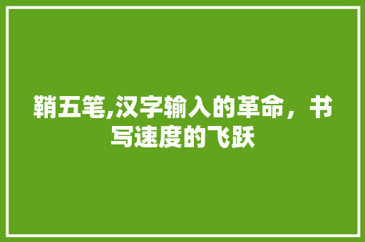 鞘五笔,汉字输入的革命，书写速度的飞跃
