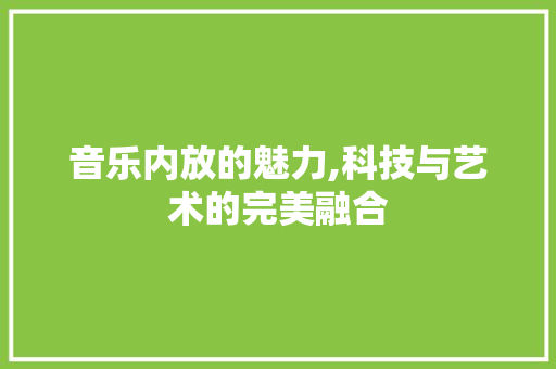 音乐内放的魅力,科技与艺术的完美融合