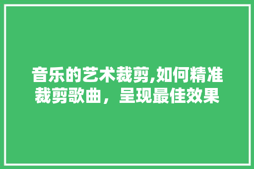 音乐的艺术裁剪,如何精准裁剪歌曲，呈现最佳效果