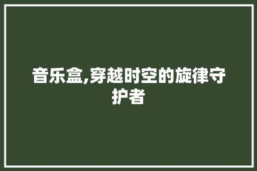 音乐盒,穿越时空的旋律守护者