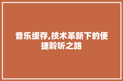 音乐缓存,技术革新下的便捷聆听之路 建站教程
