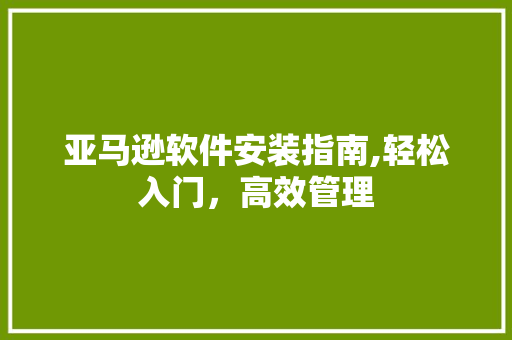 亚马逊软件安装指南,轻松入门，高效管理