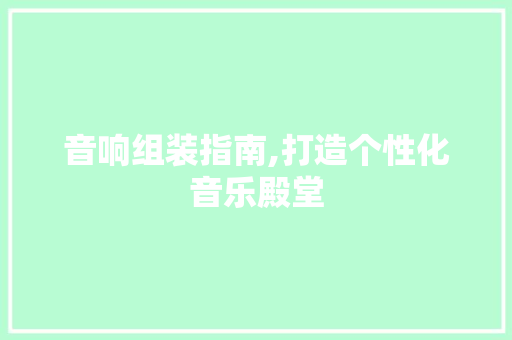 音响组装指南,打造个性化音乐殿堂