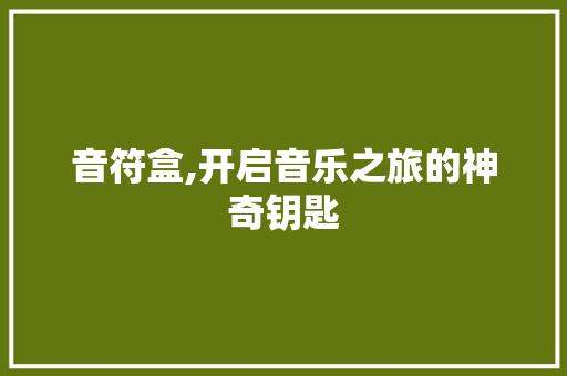 音符盒,开启音乐之旅的神奇钥匙