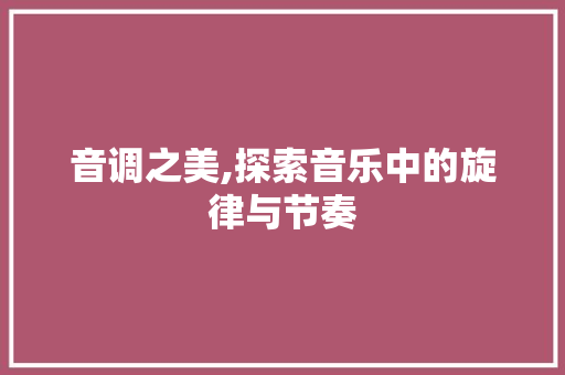 音调之美,探索音乐中的旋律与节奏