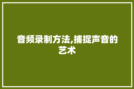 音频录制方法,捕捉声音的艺术 WordPress教程