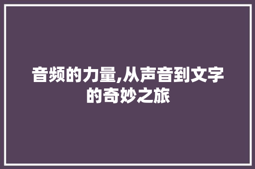 音频的力量,从声音到文字的奇妙之旅