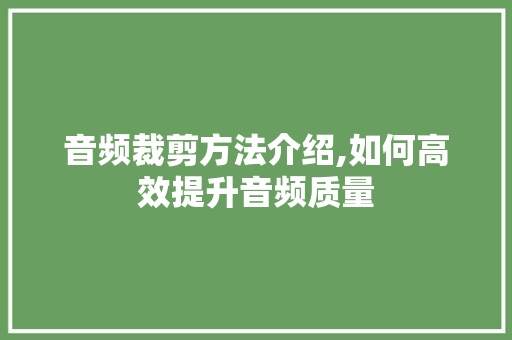 音频裁剪方法介绍,如何高效提升音频质量