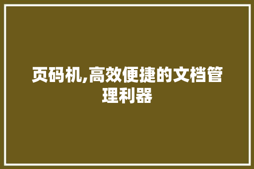 页码机,高效便捷的文档管理利器 SEO教程