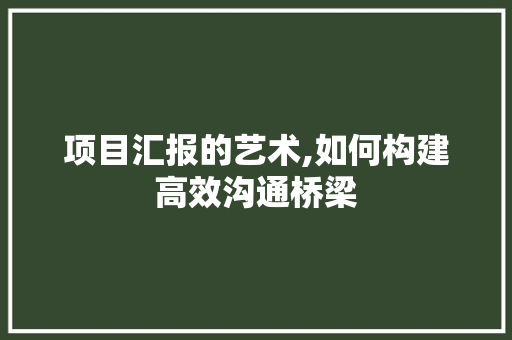 项目汇报的艺术,如何构建高效沟通桥梁
