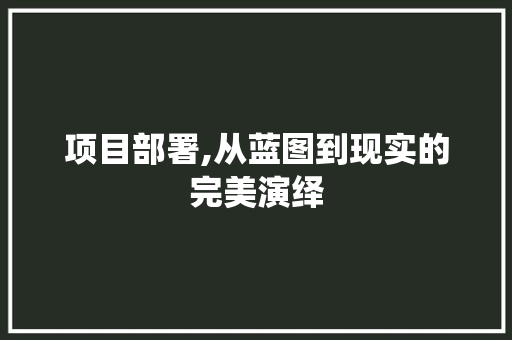 项目部署,从蓝图到现实的完美演绎