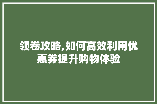 领卷攻略,如何高效利用优惠券提升购物体验 服务器/数据库