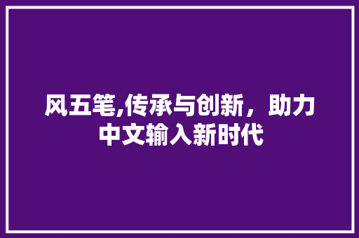 风五笔,传承与创新，助力中文输入新时代