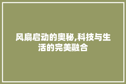 风扇启动的奥秘,科技与生活的完美融合
