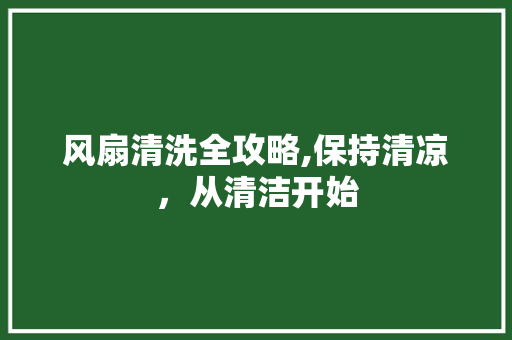 风扇清洗全攻略,保持清凉，从清洁开始