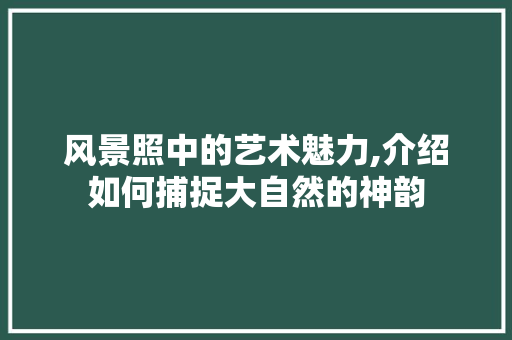 风景照中的艺术魅力,介绍如何捕捉大自然的神韵