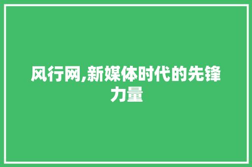 风行网,新媒体时代的先锋力量