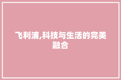 飞利浦,科技与生活的完美融合 Web前端