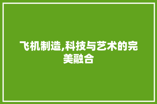 飞机制造,科技与艺术的完美融合 建站教程
