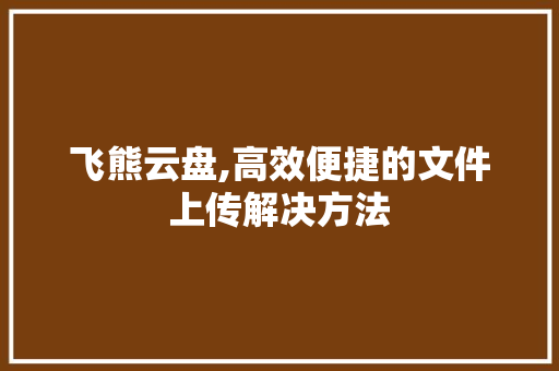 飞熊云盘,高效便捷的文件上传解决方法
