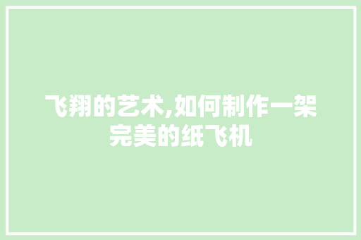 飞翔的艺术,如何制作一架完美的纸飞机 建站教程