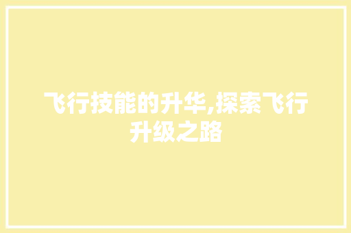 飞行技能的升华,探索飞行升级之路