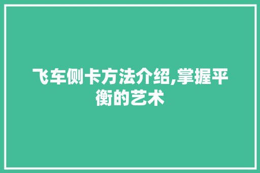 飞车侧卡方法介绍,掌握平衡的艺术