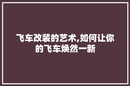 飞车改装的艺术,如何让你的飞车焕然一新 WordPress教程