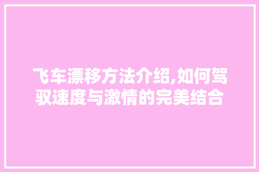 飞车漂移方法介绍,如何驾驭速度与激情的完美结合 建站教程