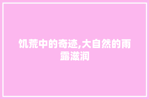 饥荒中的奇迹,大自然的雨露滋润