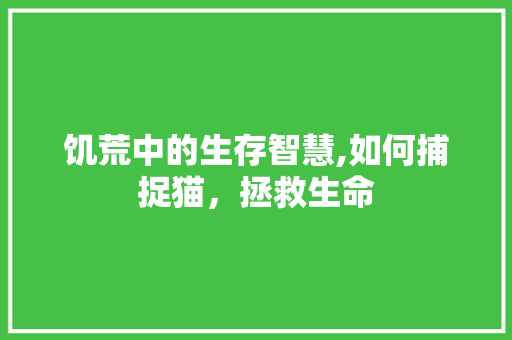 饥荒中的生存智慧,如何捕捉猫，拯救生命