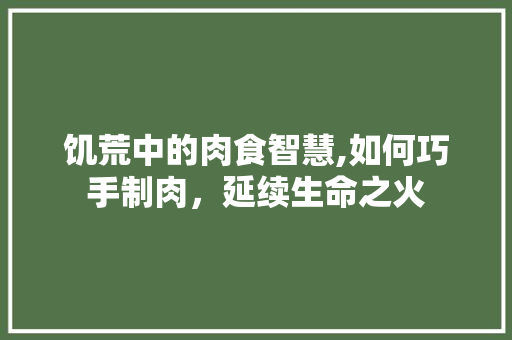 饥荒中的肉食智慧,如何巧手制肉，延续生命之火