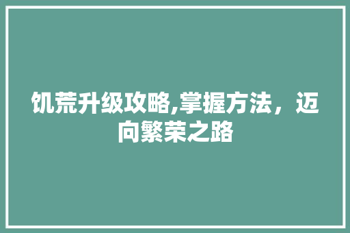 饥荒升级攻略,掌握方法，迈向繁荣之路