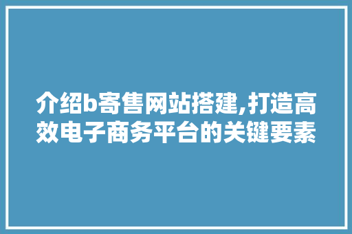 介绍b寄售网站搭建,打造高效电子商务平台的关键要素