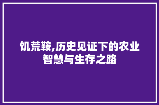饥荒鞍,历史见证下的农业智慧与生存之路