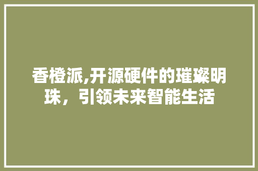 香橙派,开源硬件的璀璨明珠，引领未来智能生活 Web前端